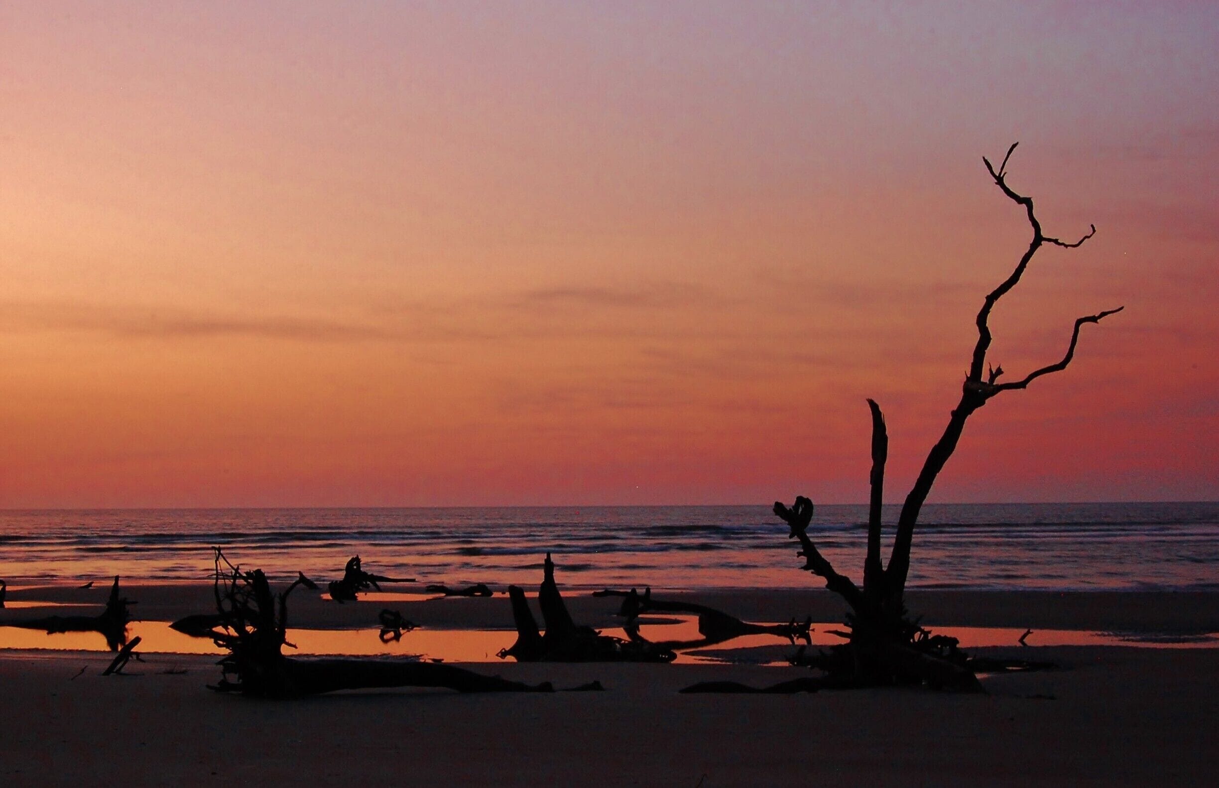 #Roadtrip with my photography club to Charleston, South Carolina brought us to Capers Island. We were up at 4am and on a boat by 5am. I was in awe of the beauty of this island. Primitive camping is allowed. The only way to reach the island is by boat. I could live there. The sunrise was one of the most incredible I had ever seen at the beach! I think all the deadwood was the reason.  
#roadtrip #wanderlust #weekendgetaway #sunrise 