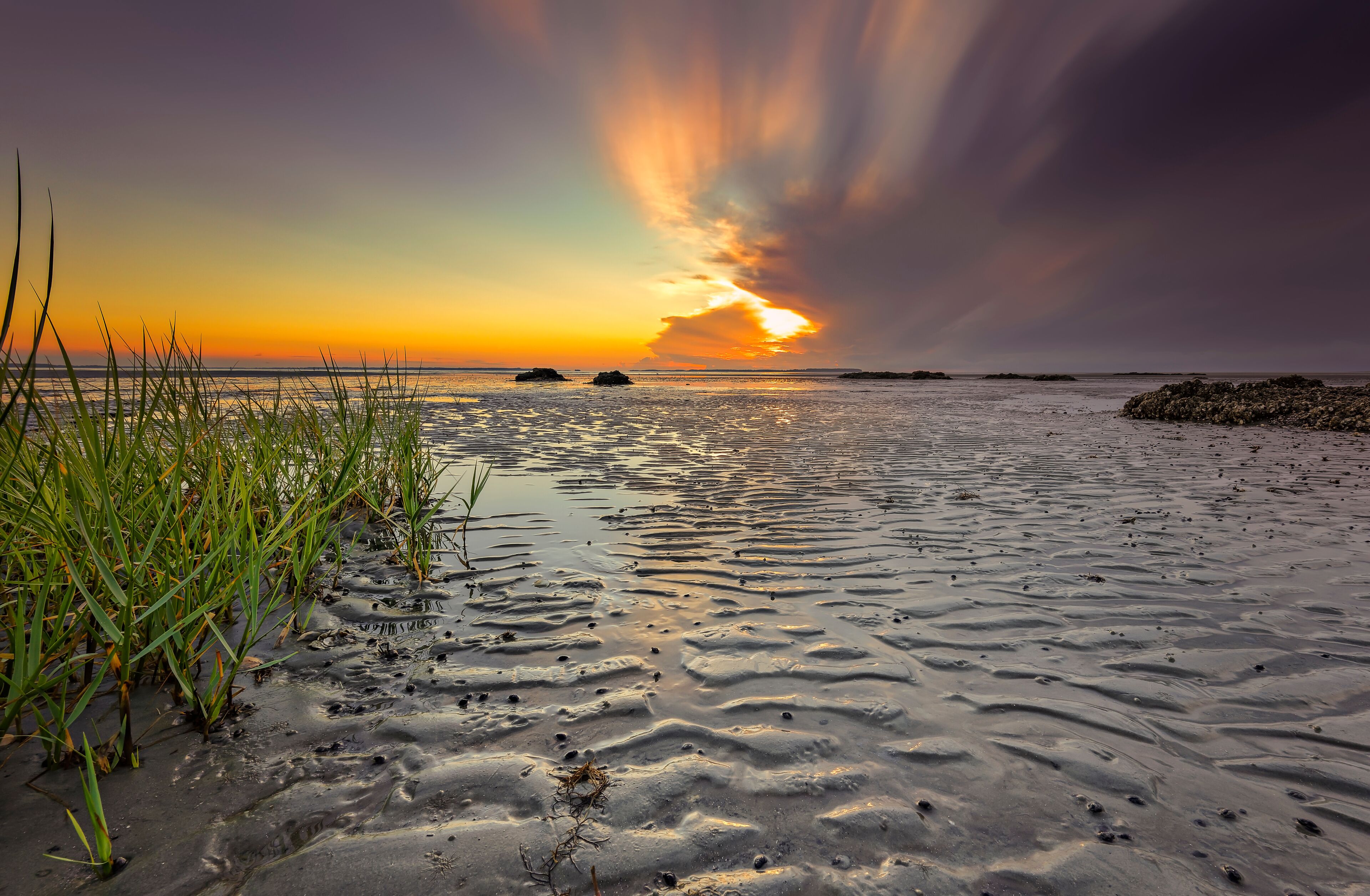 Seascape of Hilton Head Island