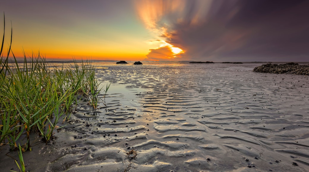 Seascape of Hilton Head Island