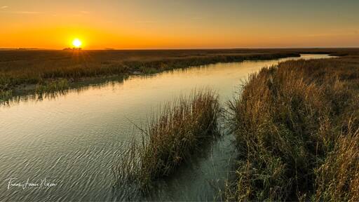 This was taken at sunset on the Marsh Boardwalk on Hunting Island SC