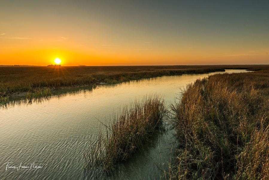 This was taken at sunset on the Marsh Boardwalk on Hunting Island SC