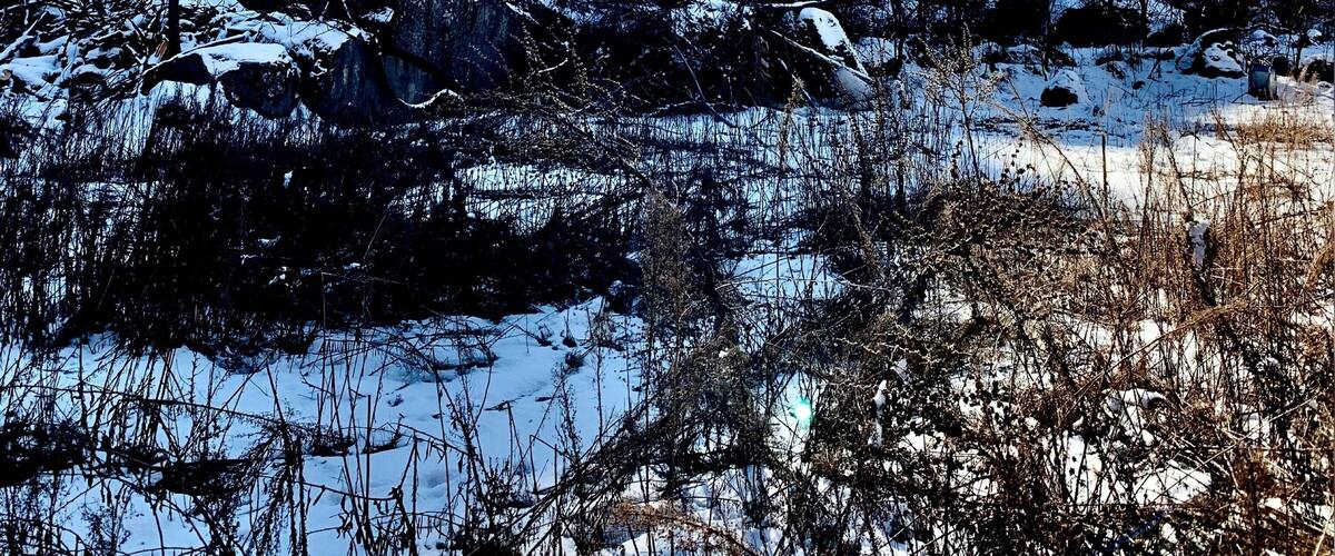 A 3km hike 👟 through this stunning valley offers ⛰caves, 💧a beautiful river, 🥘picnic huts & plenty more wonderful nature 🌲