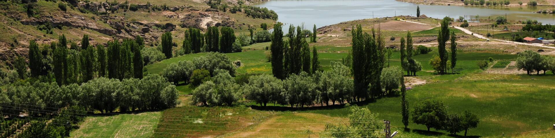 A mountainous landscape with a lake, olive groves, and a historic fort.