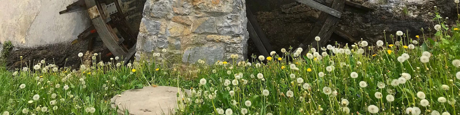 Rhine Falls, Switzerland