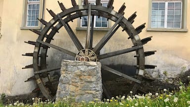 Rhine Falls, Switzerland