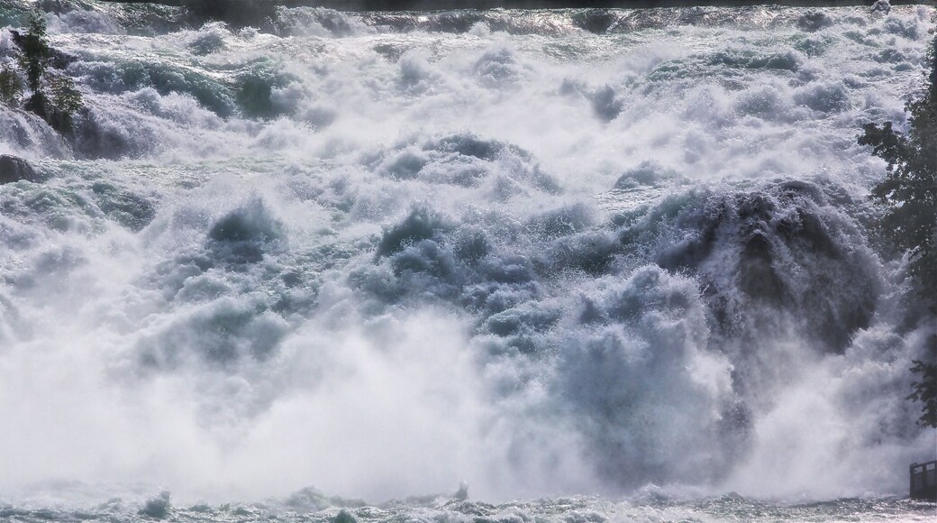 Having strong gale and raining in here. I think it is all calm before the storm to describe my mood.
www.flickr.com/photos/68166820@N08/11654995496/in/explore...
#river #travel #Switzerland #hiking #nationalpark #water #nature