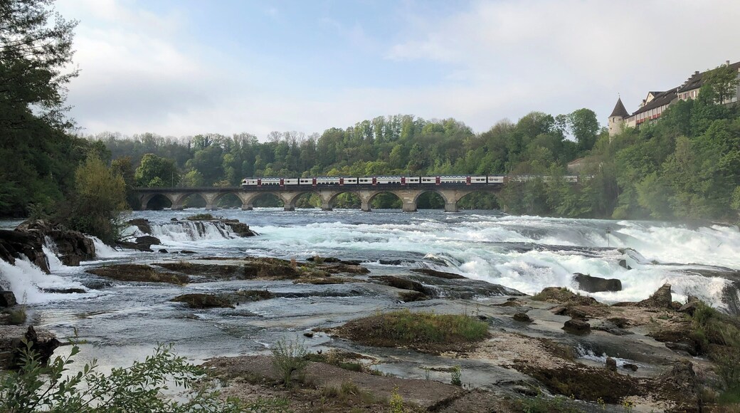 #Contest #RhineFalls #Switzerland #Suisse#Schweiz #HeavenonEarth #Culture