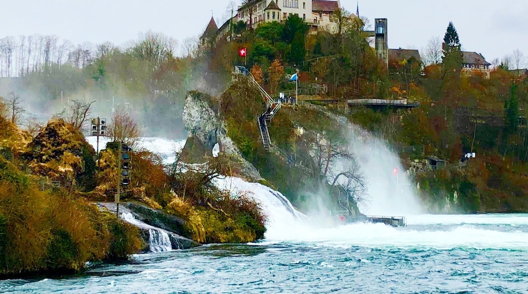 Fantastic experience cruising the Kerala Backwaters in a houseboat. Had a fresh seafood lunch aboard the boat. This boat had 2 bedrooms and baths as well to stay overnight. The rooms were air conditioned as well. #LifeAtExpedia