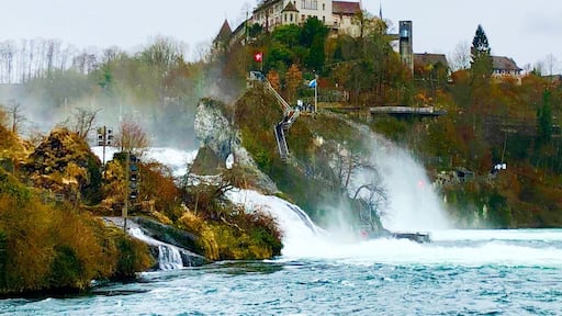 Fantastic experience cruising the Kerala Backwaters in a houseboat. Had a fresh seafood lunch aboard the boat. This boat had 2 bedrooms and baths as well to stay overnight. The rooms were air conditioned as well. #LifeAtExpedia