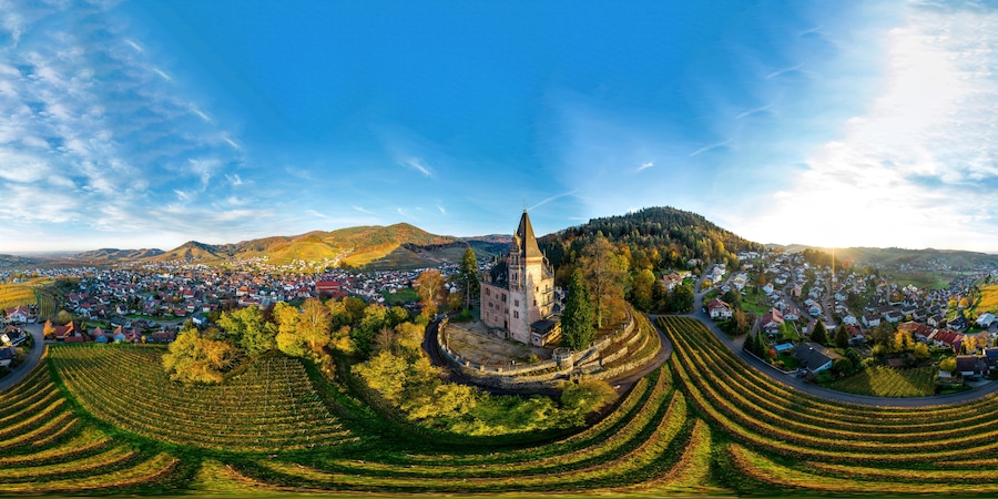 Een panoramisch uitzicht op een stad met een opvallend kasteel, terrassen met wijngaarden en glooiende heuvels op de achtergrond.