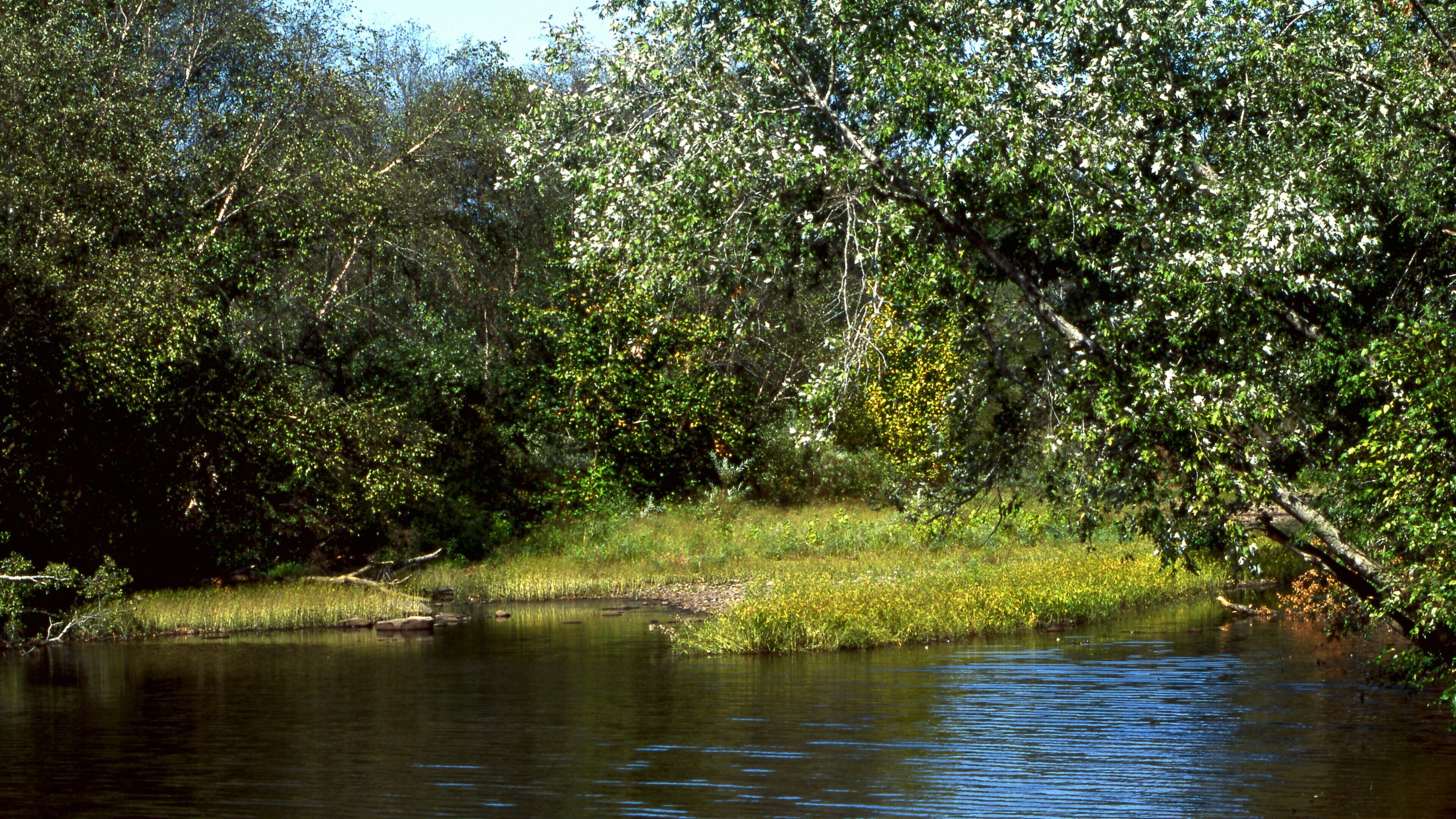 Greenbrier which includes a river or creek