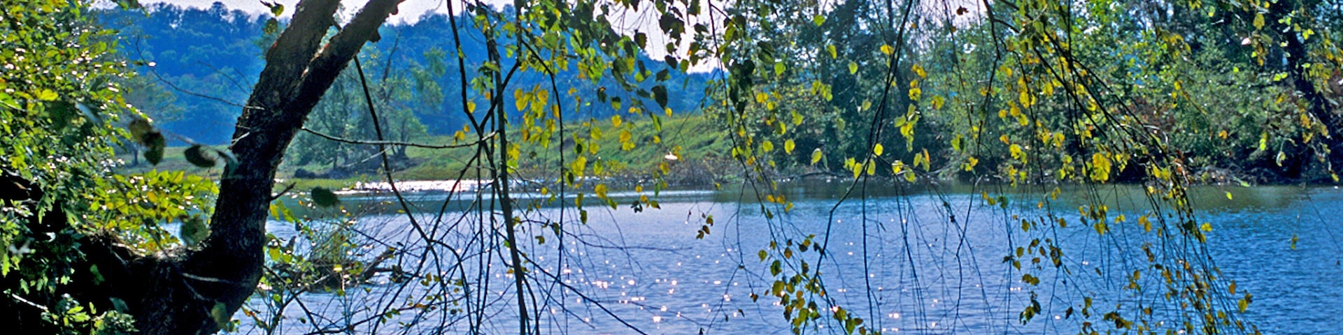 Greenbrier que inclui um rio ou córrego