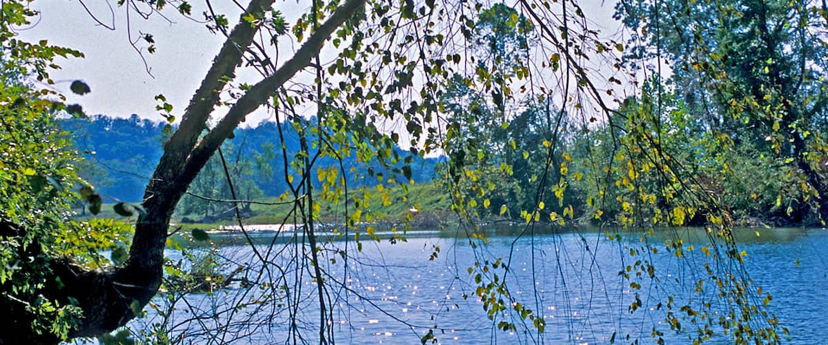 A calm lake surrounded by trees and hills.
