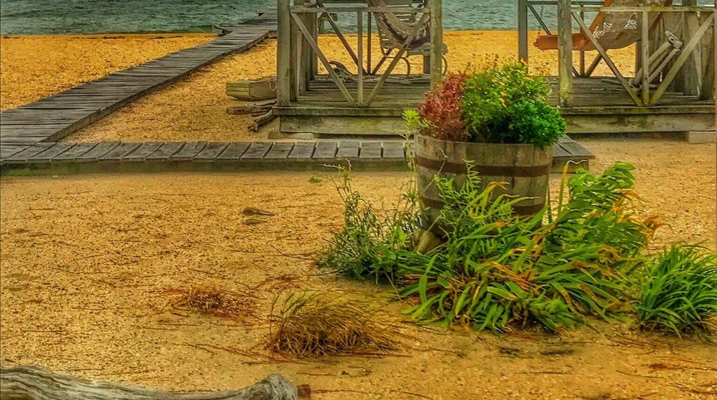 Took a break from training to explore the lighthouse. Found this gem on the way. Not the best weather but it was an adventure.
#beachbound