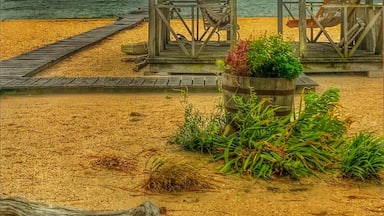 Took a break from training to explore the lighthouse. Found this gem on the way. Not the best weather but it was an adventure.
#beachbound