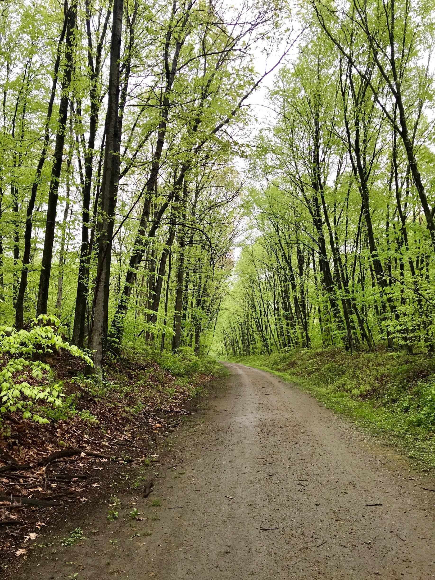 Columbia Trails on a beautiful spring day 🍃🌷