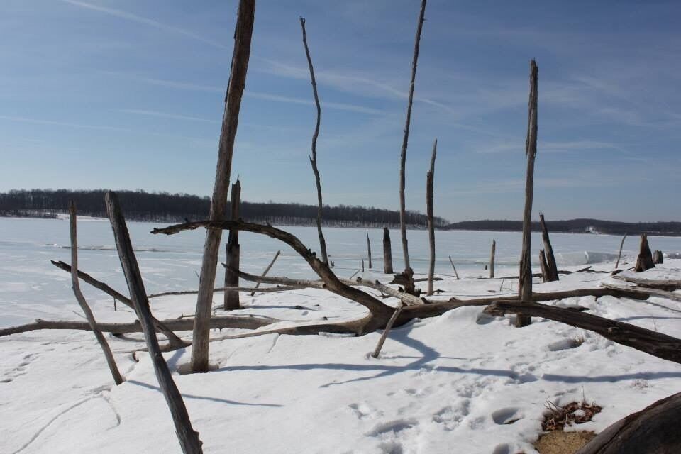 Beautiful in every season