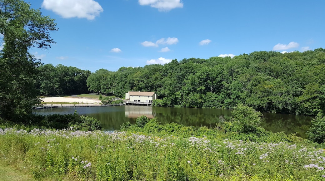 Gorgeous views #LoveMyTown