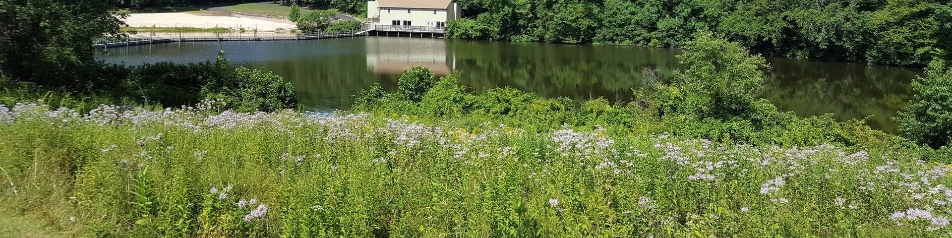 Gorgeous views #LoveMyTown