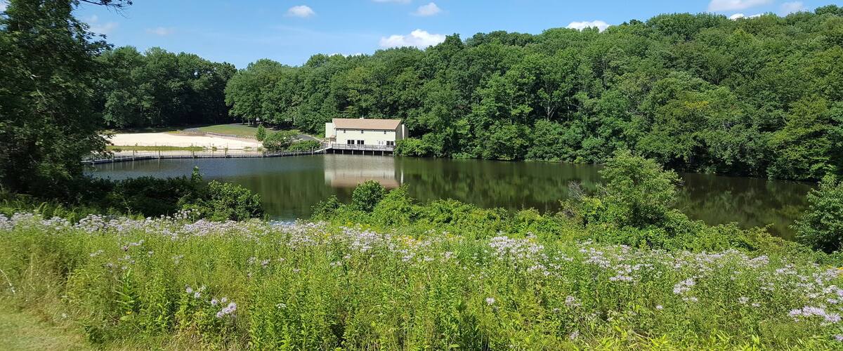 A lake surrounded by dense forest, a small building near the water, and a sandy area in the background.