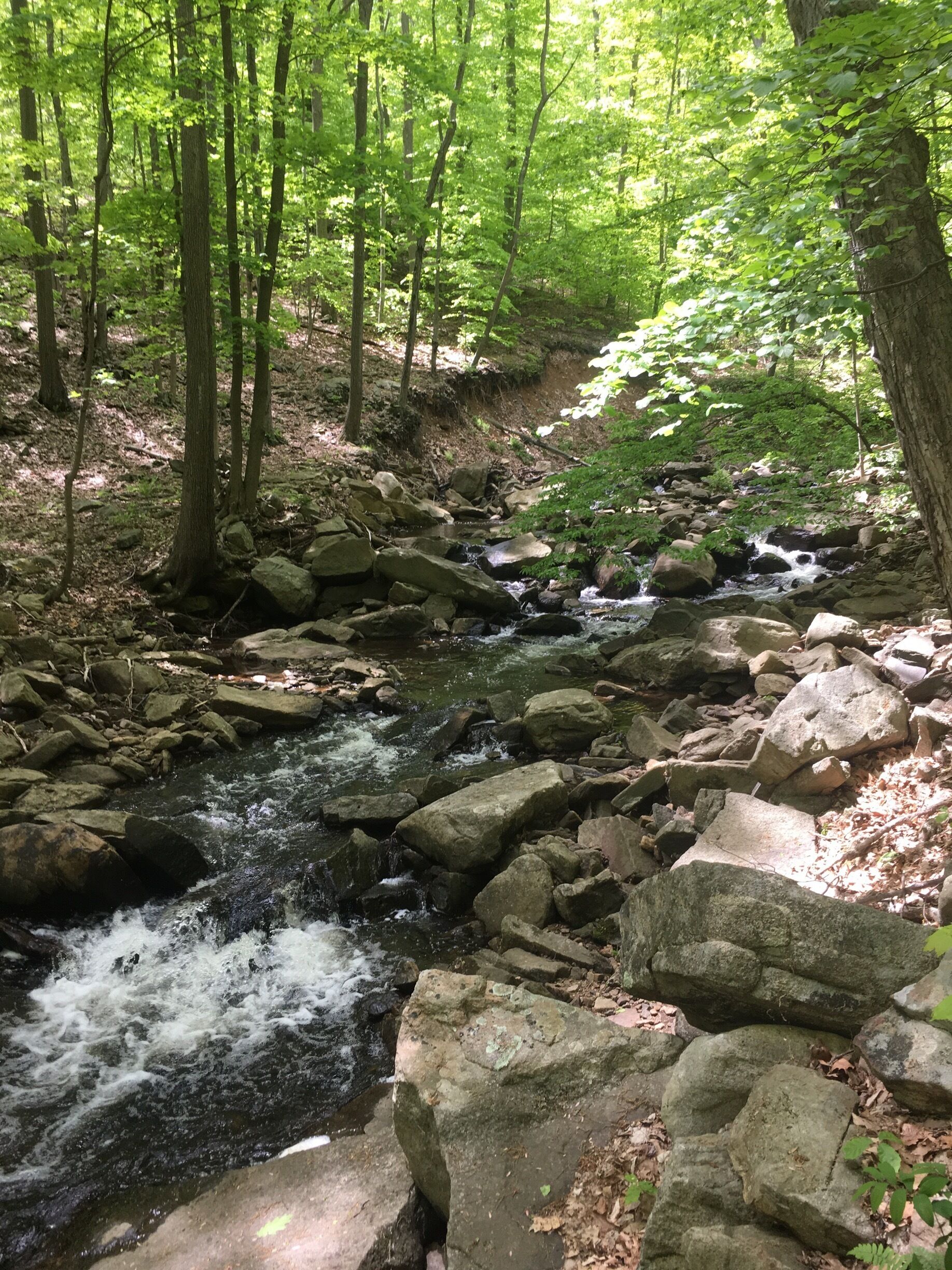 Small falls actually I don't know if I found all of it.