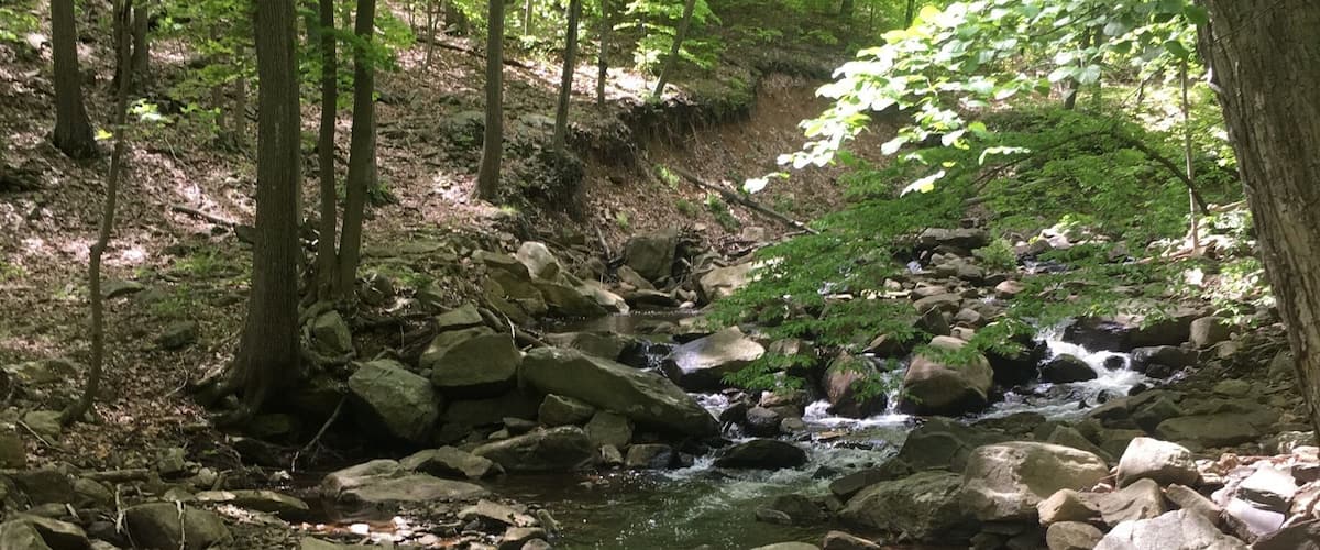 Small falls actually I don't know if I found all of it.