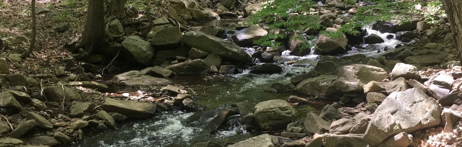 Small falls actually I don't know if I found all of it.