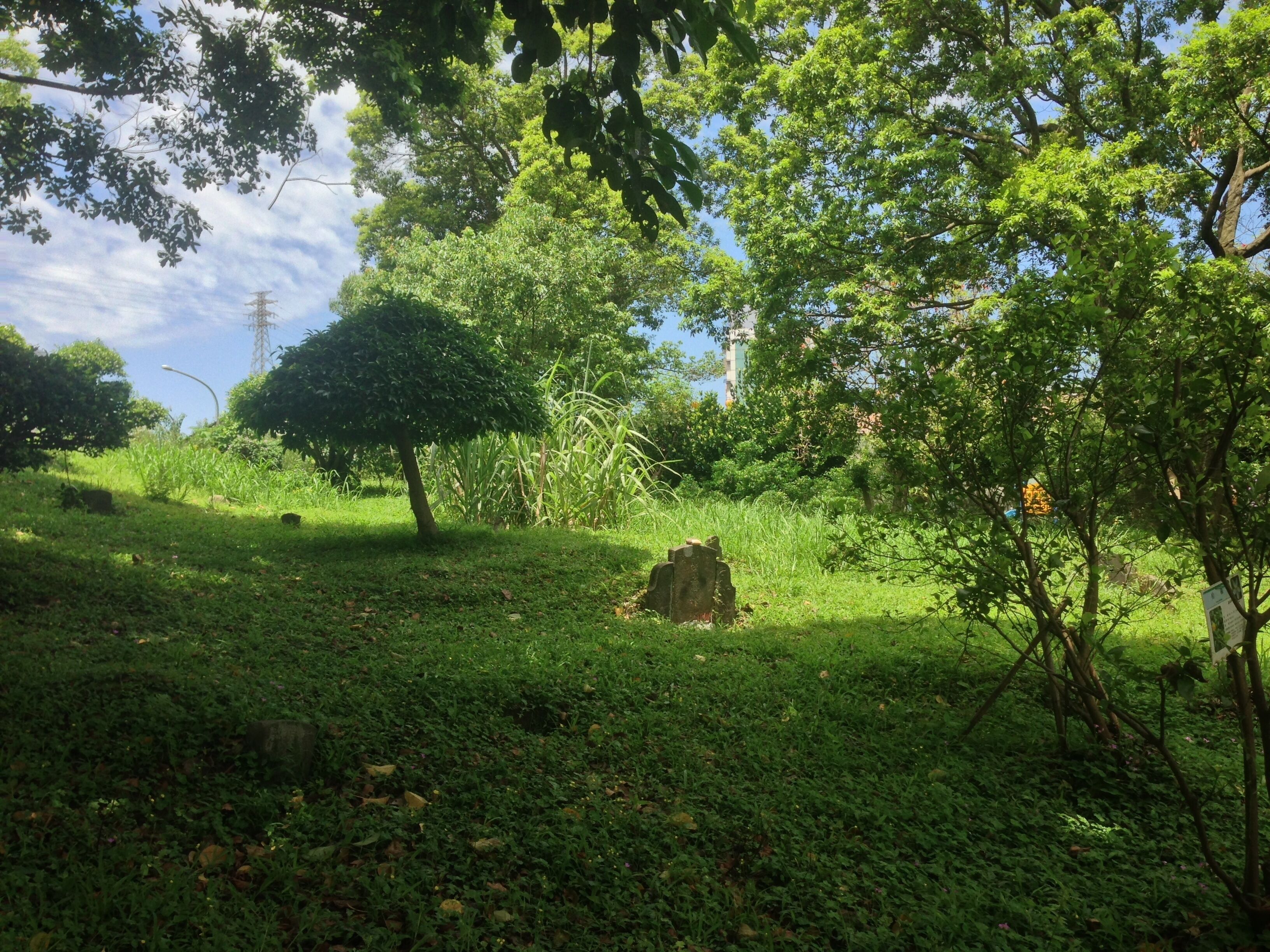 擺接義塚大墓公古墓