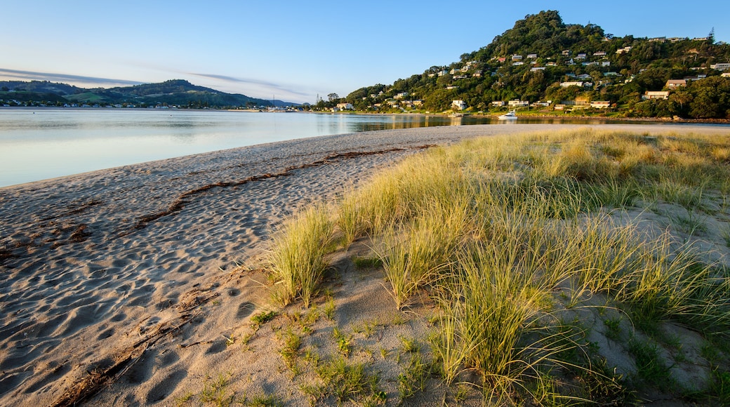 Mount Paku, Coromandel