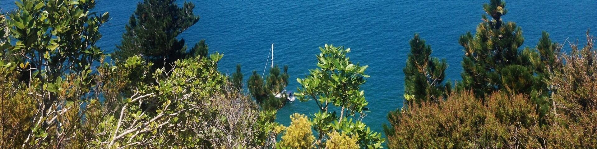 Whangamata, New Zealand 🌊🌲