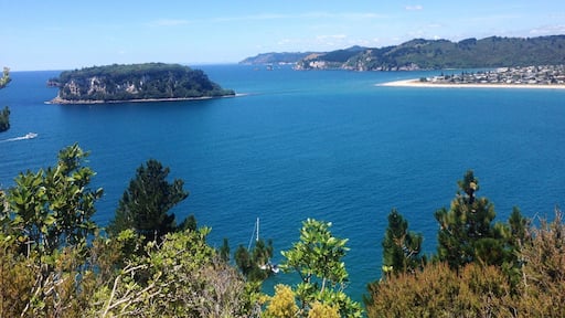 Whangamata, New Zealand 🌊🌲