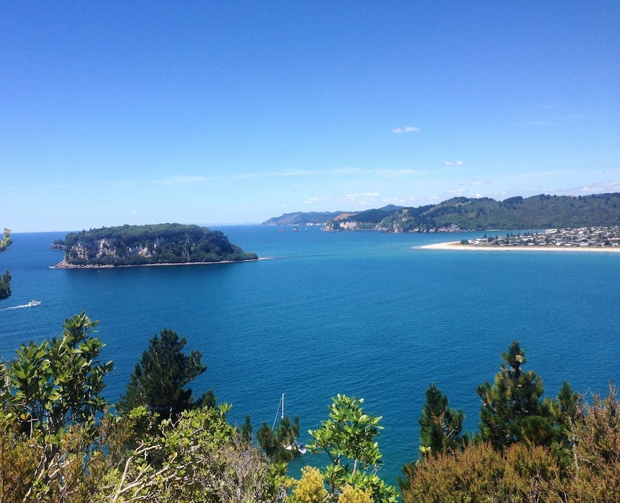 Whangamata, New Zealand 🌊🌲