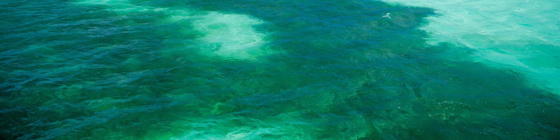 Buccoo Reef, Tobago, Republic of Trinidad and Tobago, Southern Caribbean