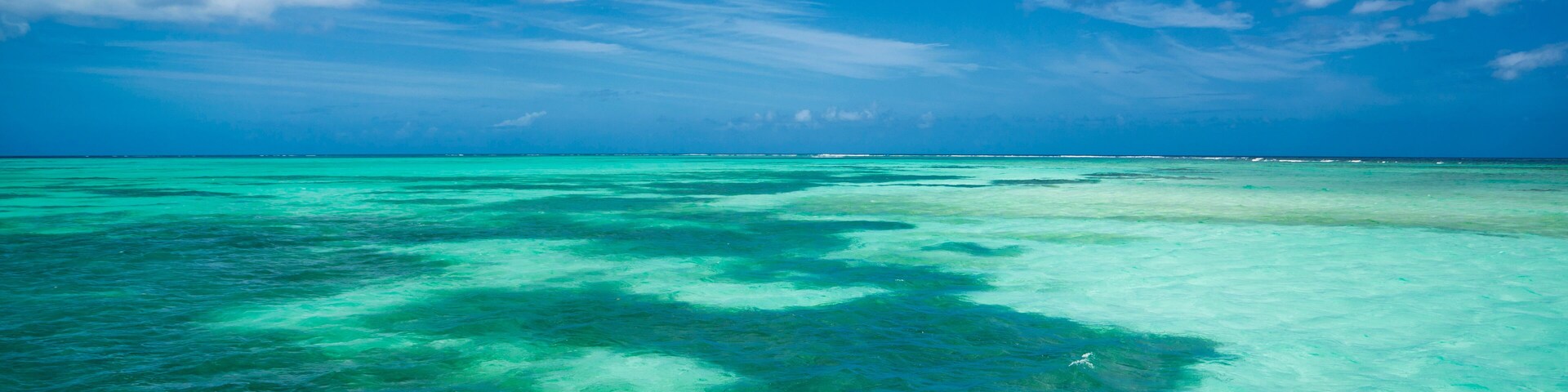 Buccoo Reef, Tobago, Republic of Trinidad and Tobago, Southern Caribbean