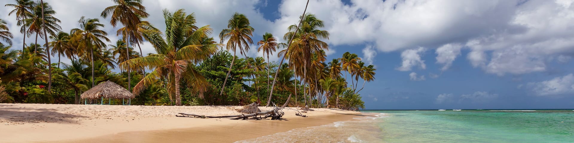 A tropical beach with clear turquoise water, sandy shore, palm trees, and a thatched hut.