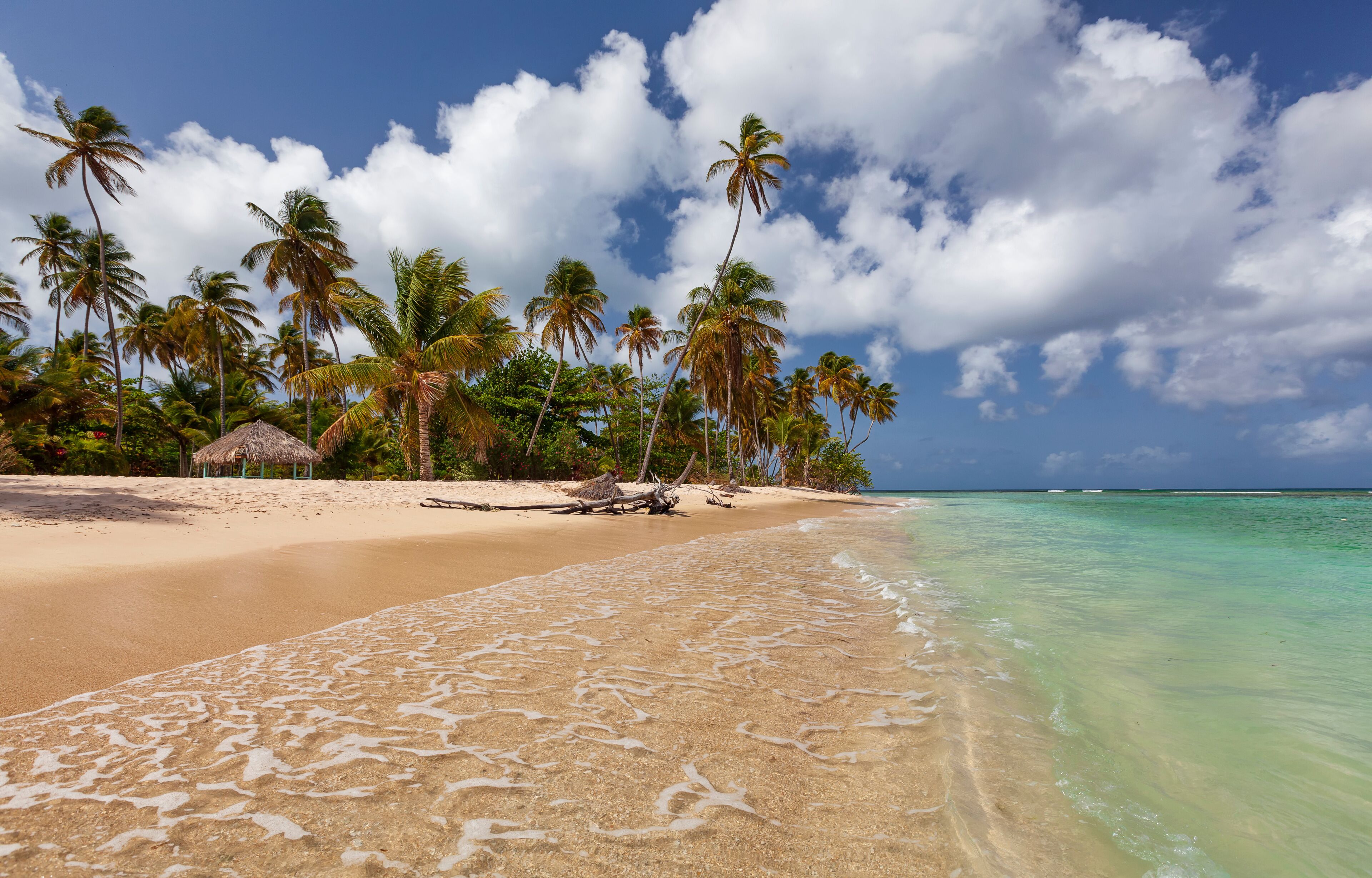A tropical beach with clear turquoise water, sandy shore, palm trees, and a thatched hut.