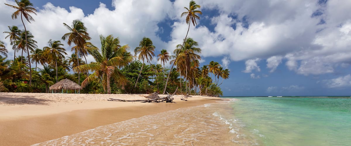 A tropical beach with clear turquoise water, sandy shore, palm trees, and a thatched hut.