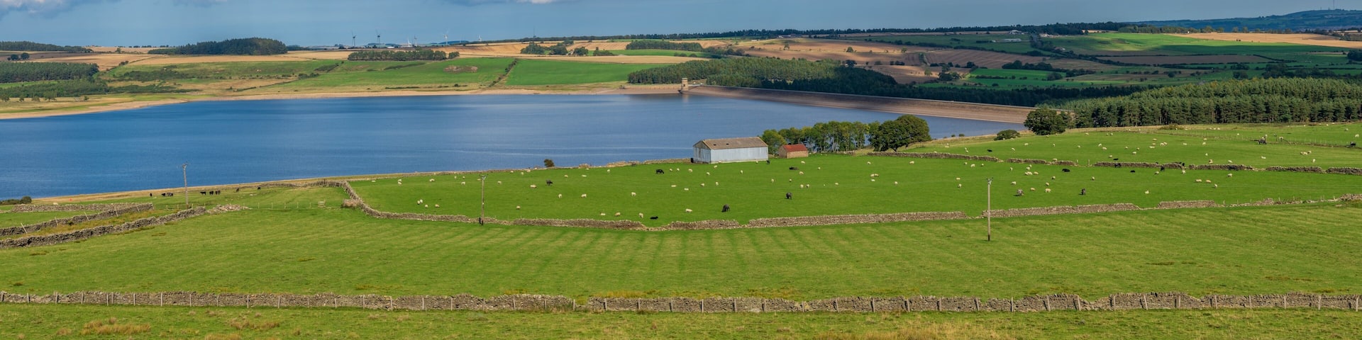 Looking to the east from the west side of the Derwent Reservoir, County Durham, England, UK