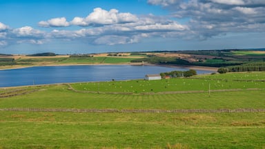 Looking to the east from the west side of the Derwent Reservoir, County Durham, England, UK
