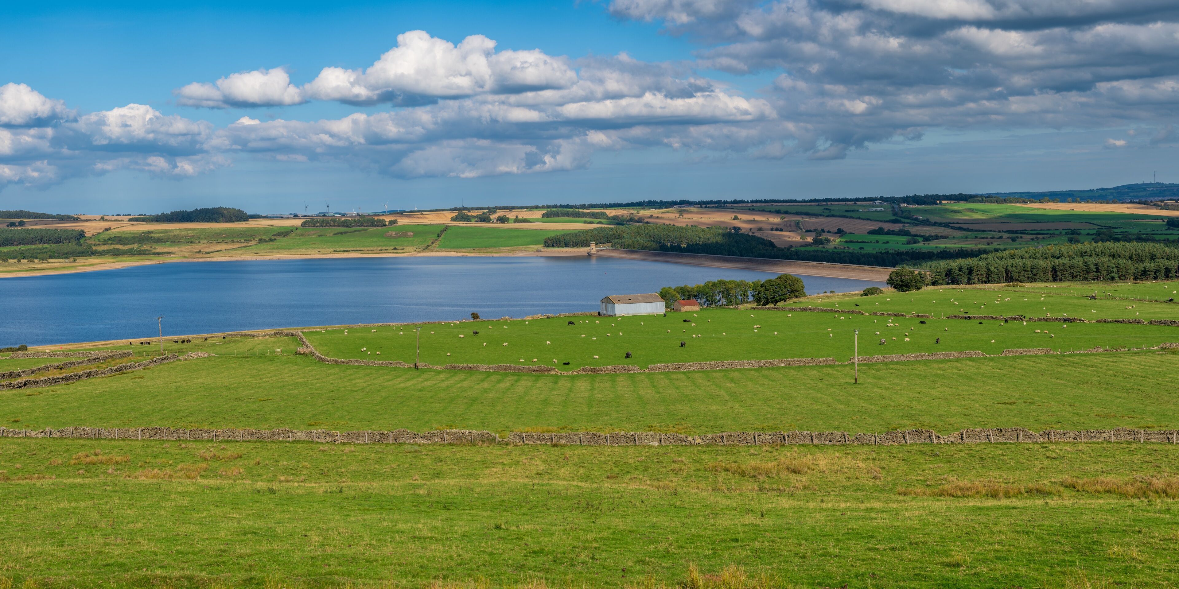 A lake surrounded by green fields, a small house, and sheep grazing.