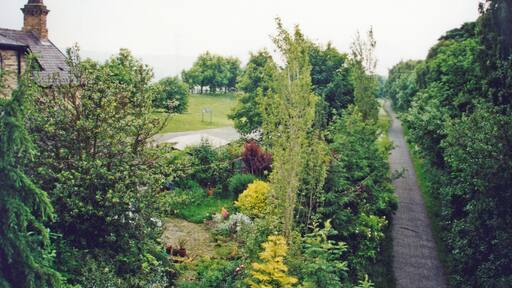 Site of former Ebchester station. View NE, towards Newcastle: ex-NER Newcastle - Scotswood - Blackhill line. The station was closed 21/9/53; the line 1/12/54 to passengers, 11/11/63 to goods. Evidently the track-bed is now a cycle-path.