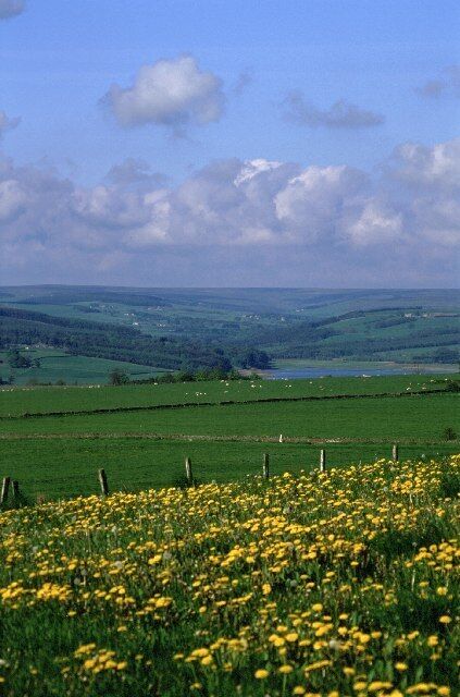 Upper Derwent Valley.