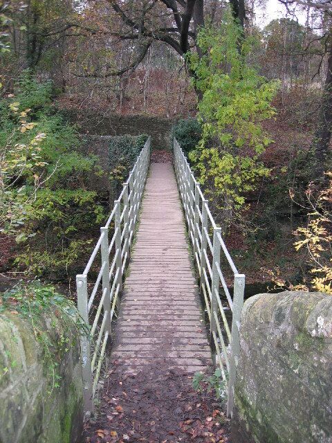 Concealed Crossing. View of concealed crossing over derwent river in shotley grove lane. Picture taken from concealed side, easily missed feature.