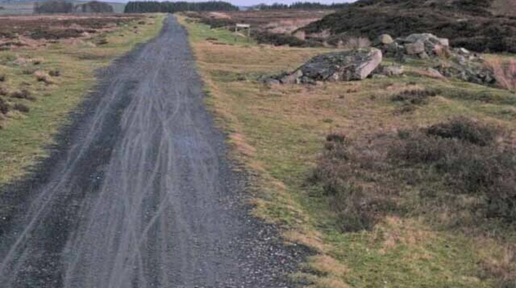 Waskerley Way This disused railway - the Stanhope and Tyne Railway was built to serve the needs of the Weardale lead and iron ore mining industries in the 19th century; the section in the photo is part of the nearly level summit section at 400 metres, the highest section of standard gauge railway in Britain http://www.durham.gov.uk/miner/projects.nsf/581cd74a9c6aa8b080256d48003758cb/bb96ba295948449580256e8a004f0ba8?OpenDocument . The line is now the Waskerley Way, a component part of the C2C cycle route which crosses northern England from coast to coast http://www.sustrans.org.uk/default.asp?sID=1094747349296 http://www.c2c-guide.co.uk/ . In the trees in the distance is Waskerley village NZ0545.