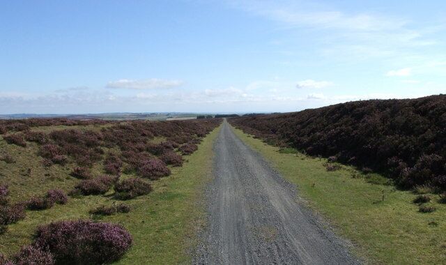 Stanhope & Tyne Railway The disused Stanhope and Tyne Railway at Skaylock Hill. Now used as part of the C2C path.