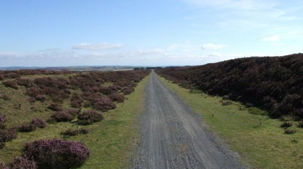 Stanhope & Tyne Railway The disused Stanhope and Tyne Railway at Skaylock Hill. Now used as part of the C2C path.