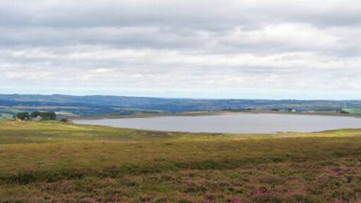 Smiddy Shaw Reservoir. On horizon near right Pontop Pike TV mast can be seen.