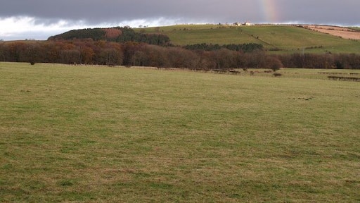 Grazing Land between Whittonstall and Ryehill Wood A lot of the land in this Grid square is included in the proposed Hoodsclose Open Cast mining scheme. This is an opportunity to record countryside as it looks now.