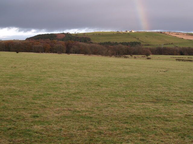 A grassy field with a rainbow in the distance, a hill with trees, and a cloudy sky.