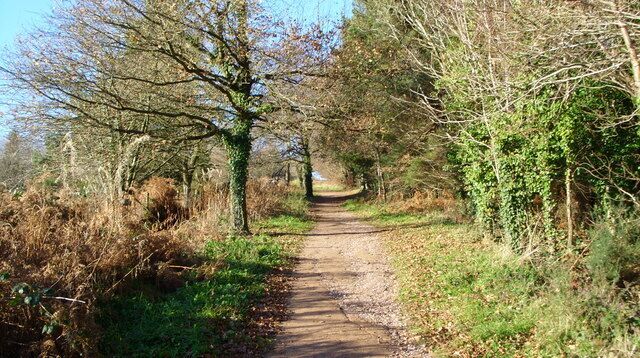 The footpath to May Hill Rising gently toward the summit.